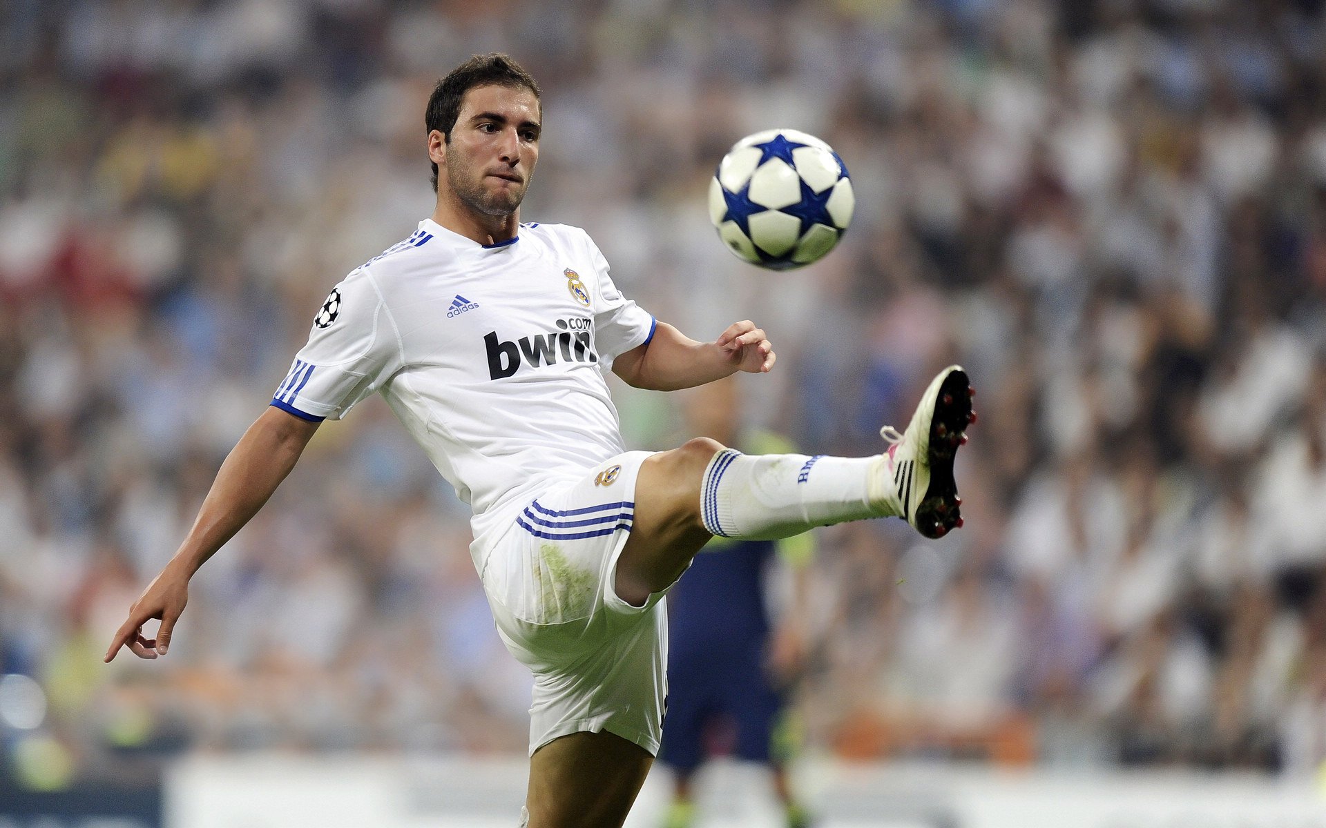 几内亚铁闸对阵那不勒斯尖刀,卡瓦哈尔,定义大场面的终极先生