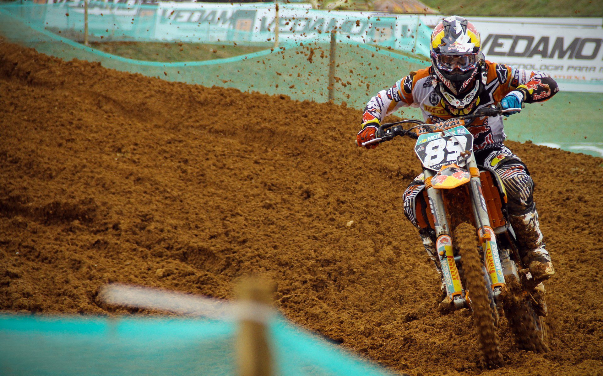 维也纳的琴弦与里斯本的海风，当坚韧鏖战天赋，张本智和点燃的不仅是赛场